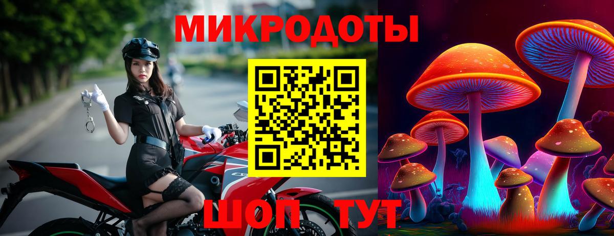 Галлюциногенные грибы GOLDEN TEACHER  купить наркоту  Выкса  Вход с VPN  Псилоцибиновые грибы Psilocybine cubensis 