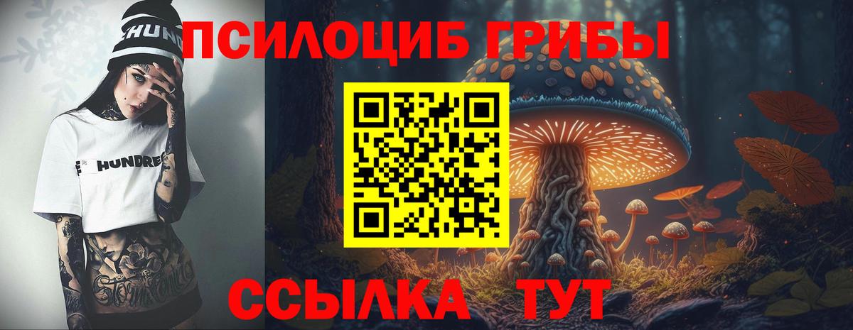 Псилоцибиновые грибы Psilocybe Выкса